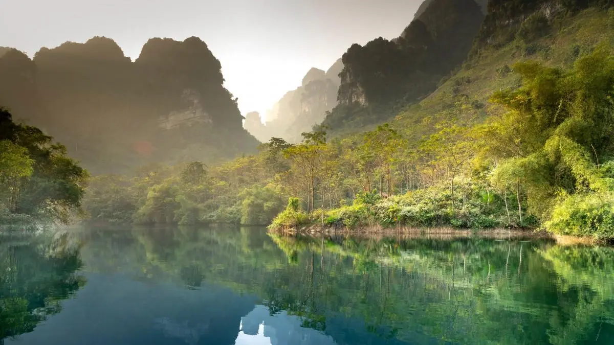 智能全自动高端